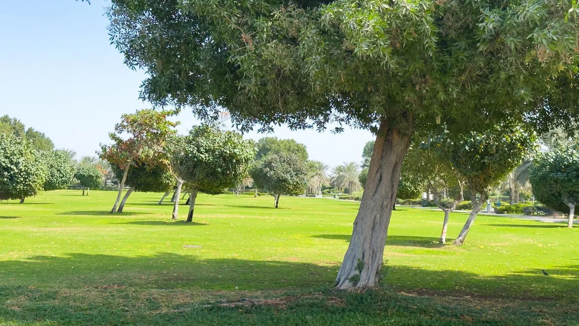 Elegant Family Villa With Bbq In The Heart Of Yas Near Yas Circuit - Formula 1 - Ferrari World - Sea World - Warner Brothers Αμπού Ντάμπι 0*,  Ηνωμένα Αραβικά Εμιράτα